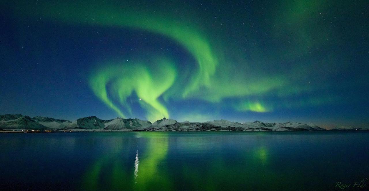 Lodge Wonderinn Arctic *